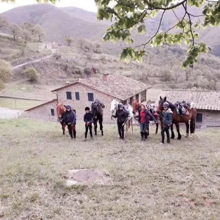 Il Castiglione Agriturismo Bio Feriegård *