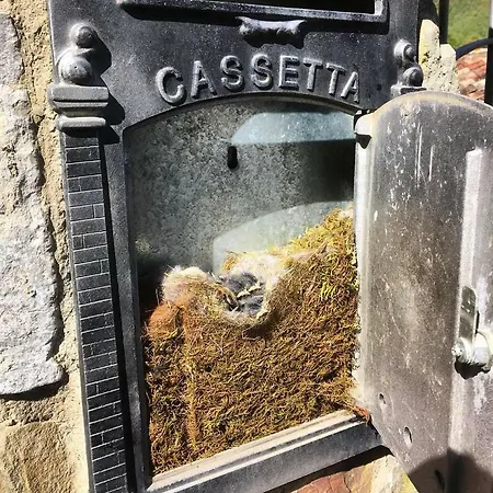 Feriegård Il Castiglione Agriturismo Bio *